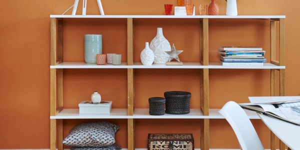 Regal und Bild vor einer orangen Wand