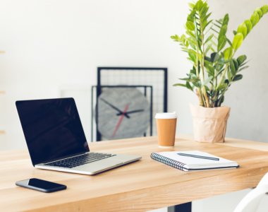 Pflanzen im Arbeitszimmer