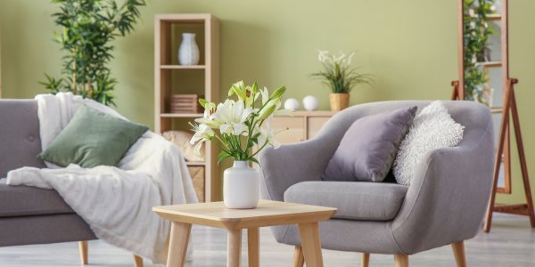 Grüne Wand im Wohnzimmer