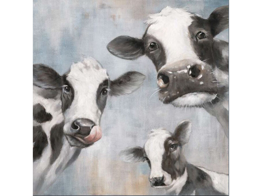 Leinwandbild  »Kühe« im Format 100 x 100 cm
