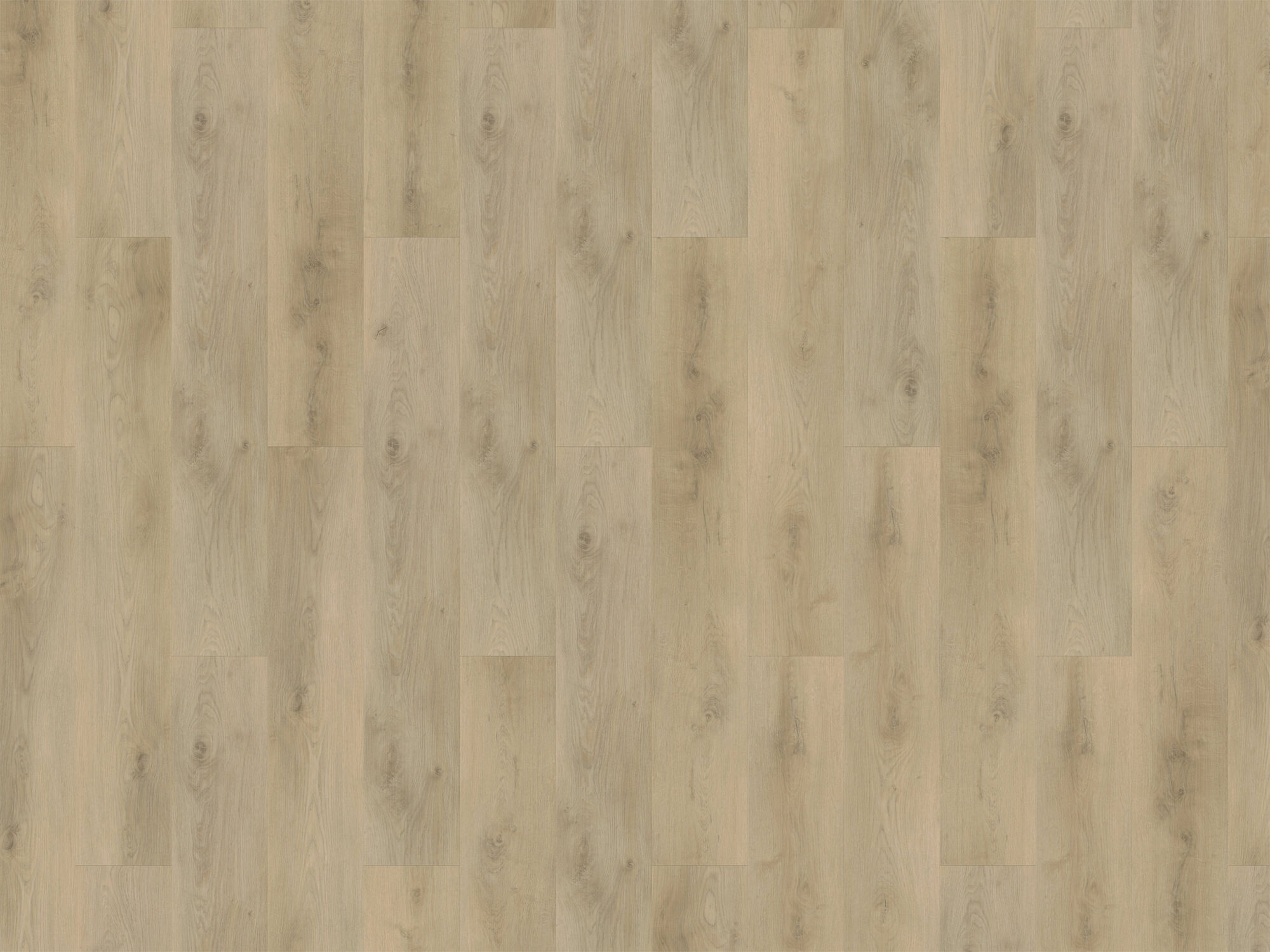Klickvinyl Designboden »Solid Line« Eiche Linz
