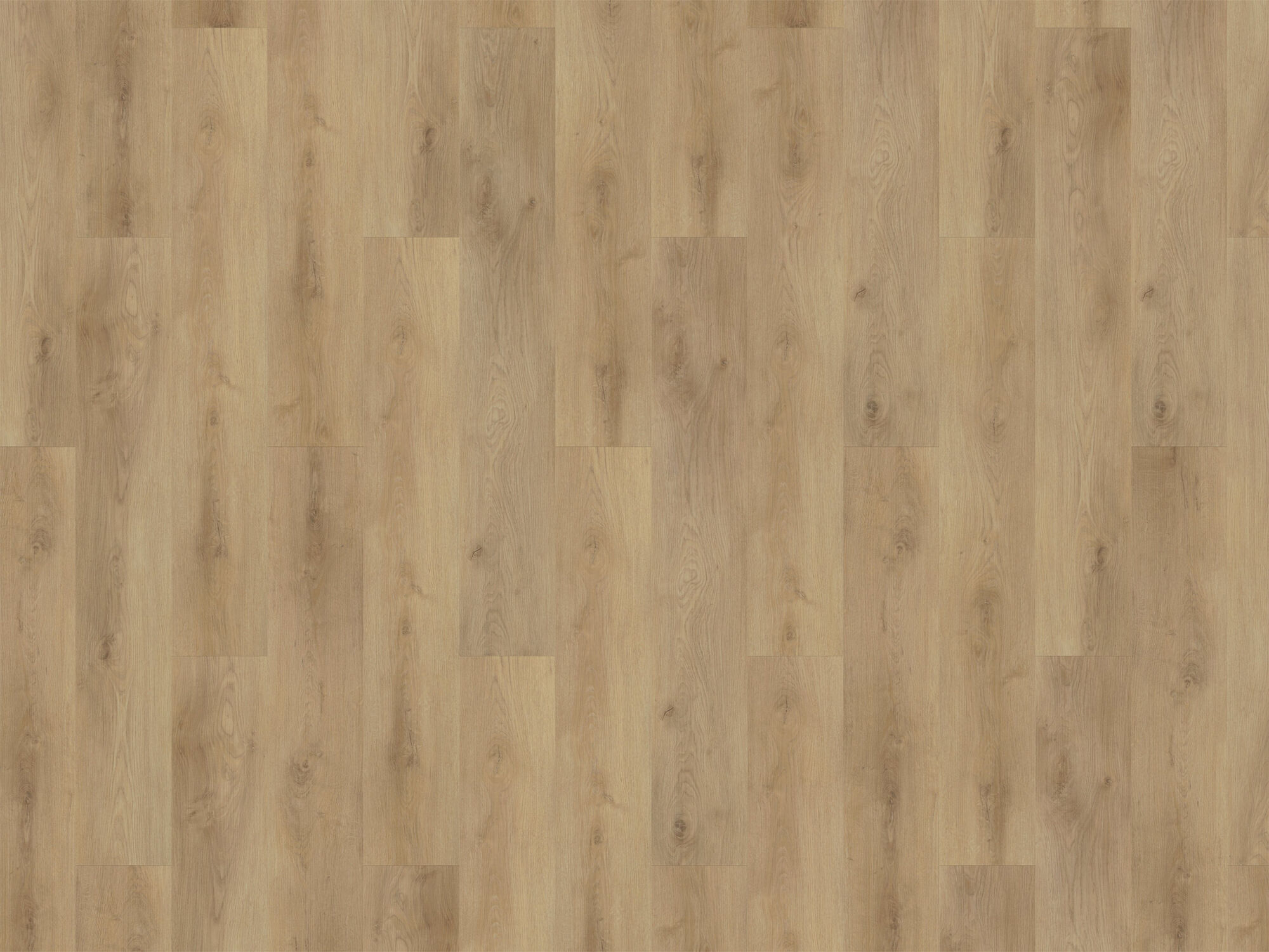 Klickvinyl Designboden »Solid Line« Eiche Graz