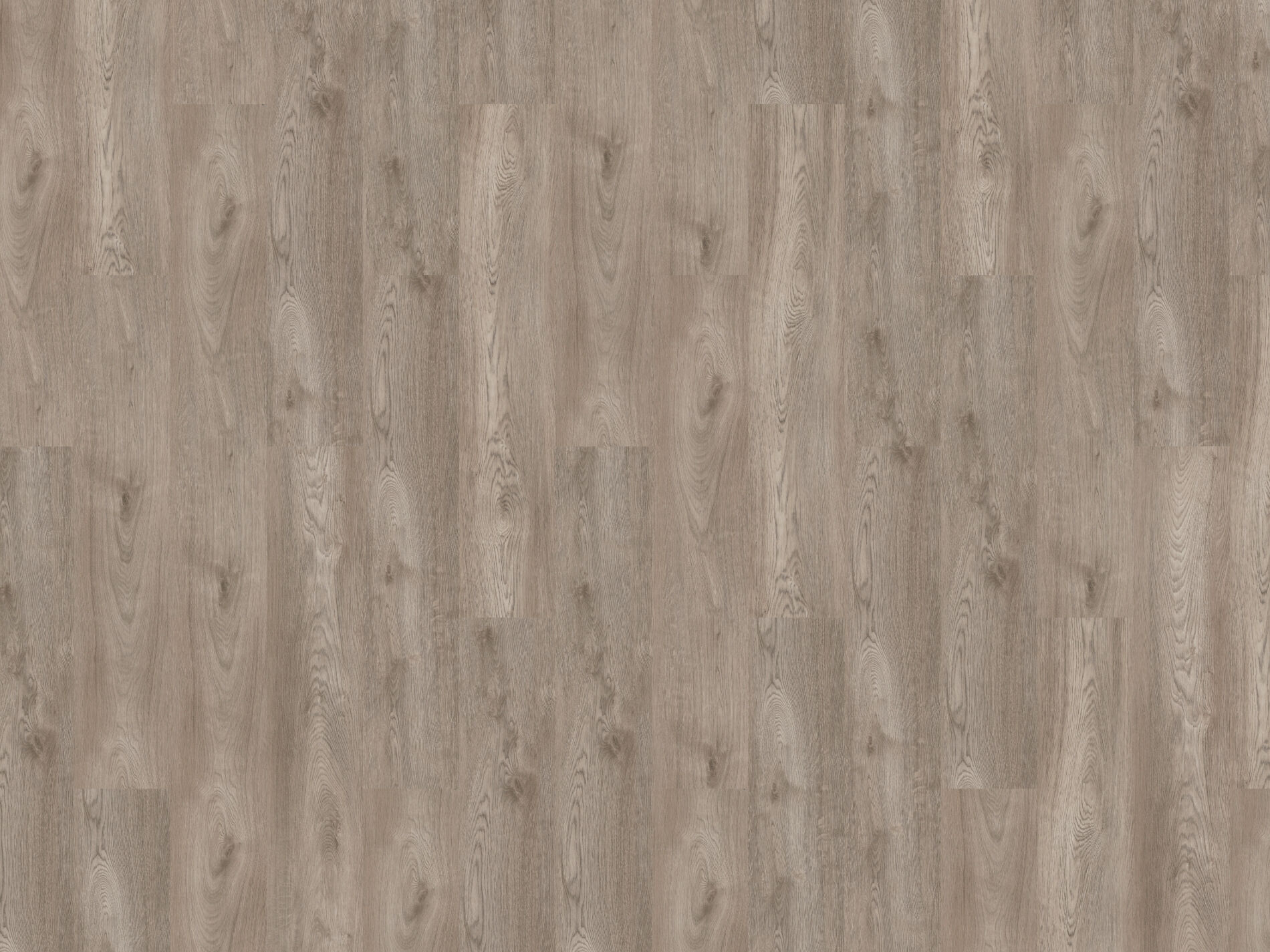 2 mm Vinylboden »CAM« Wicken