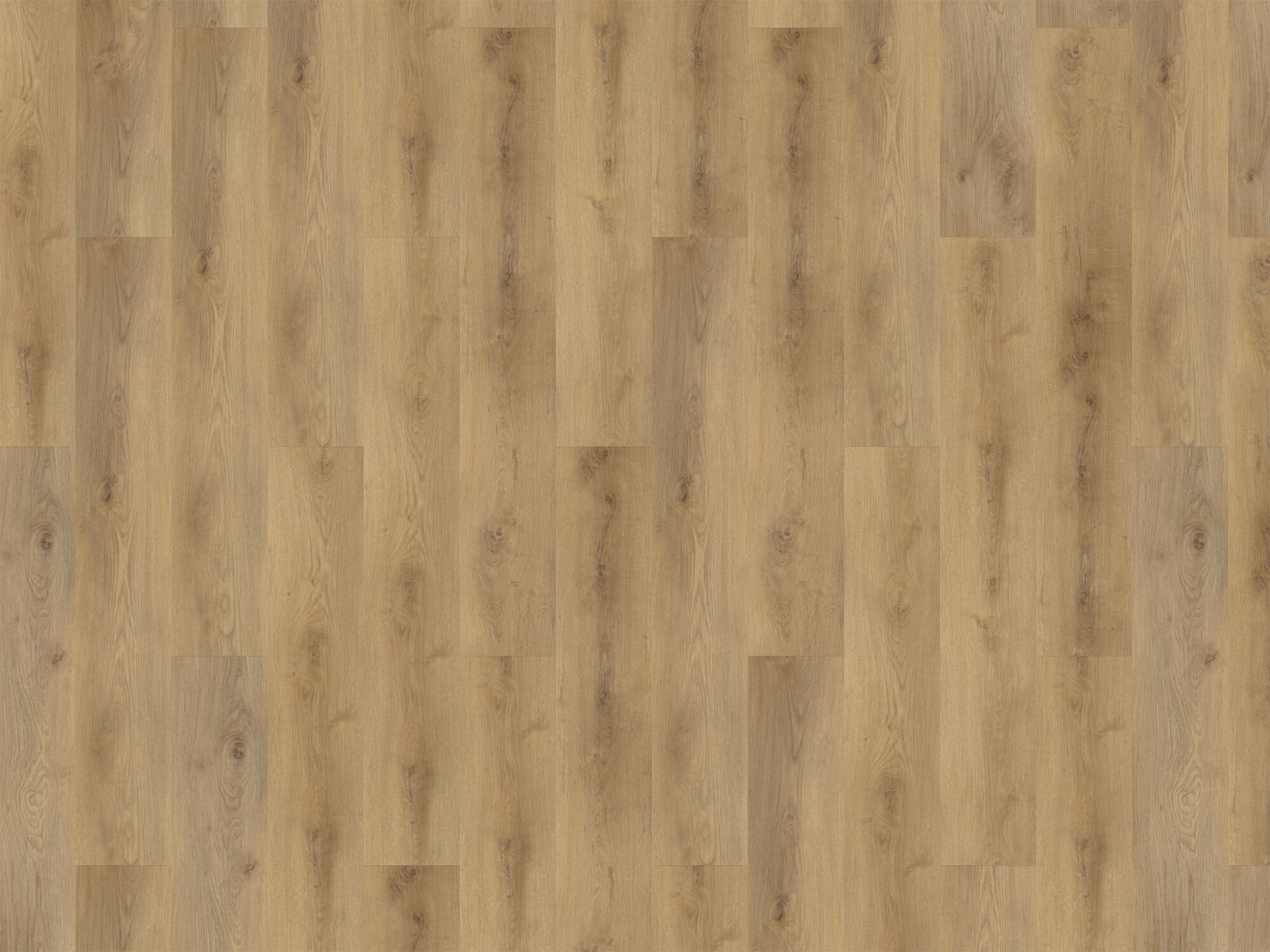 Klickvinyl Designboden »Solid Line« Eiche Salzburg
