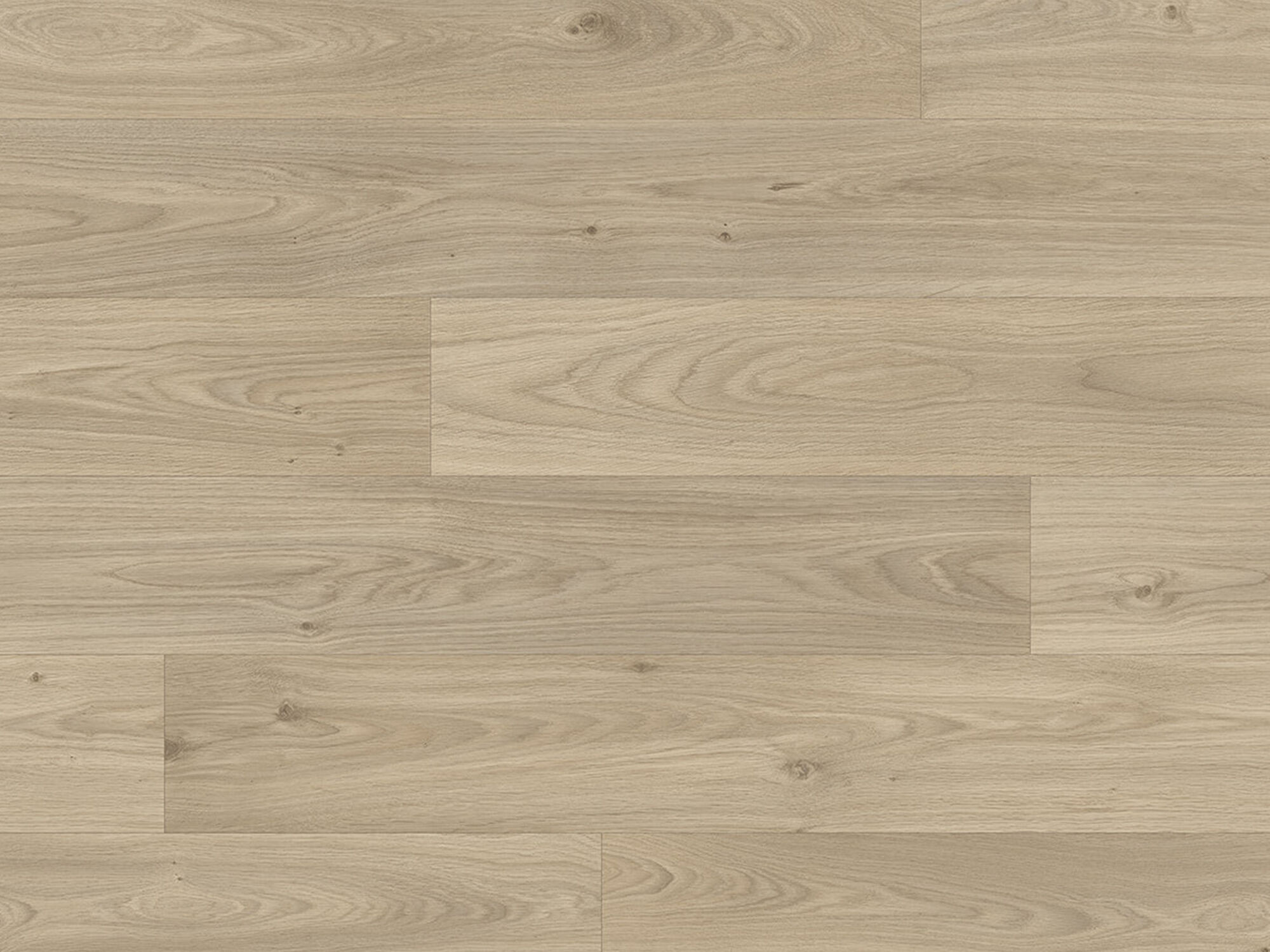 Comfortboden »Malin - Gambel Oak 119M« in Eichenholz-Optik Comfortboden »Malin - Gambel Oak 119M« in Eichenholz-Optik