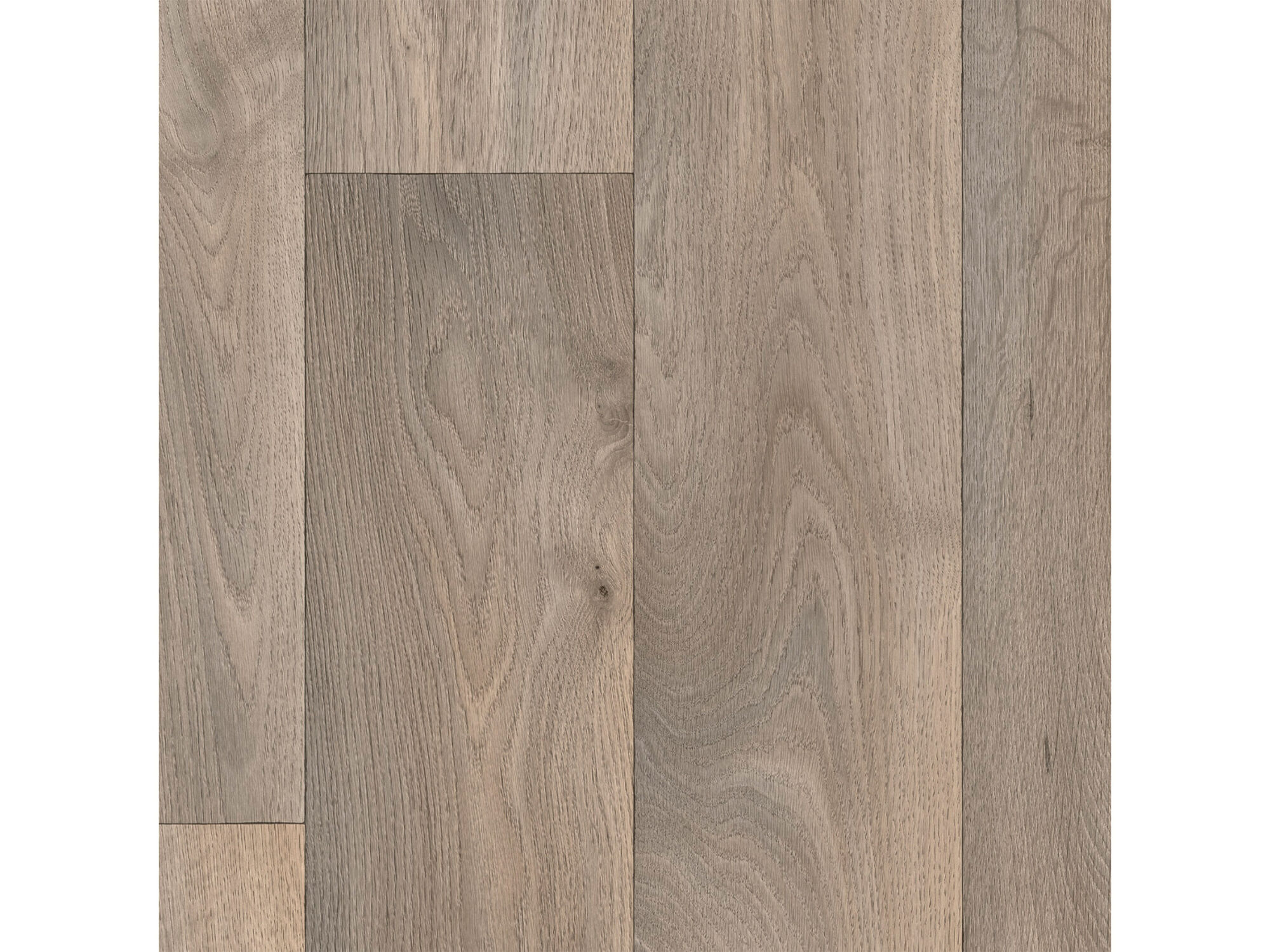 Comfortboden »Basic - Toronto 705« in Holzplanken-Optik (Steineiche) Comfortboden »Basic - Toronto 705« in Holzplanken-Optik (Steineiche)