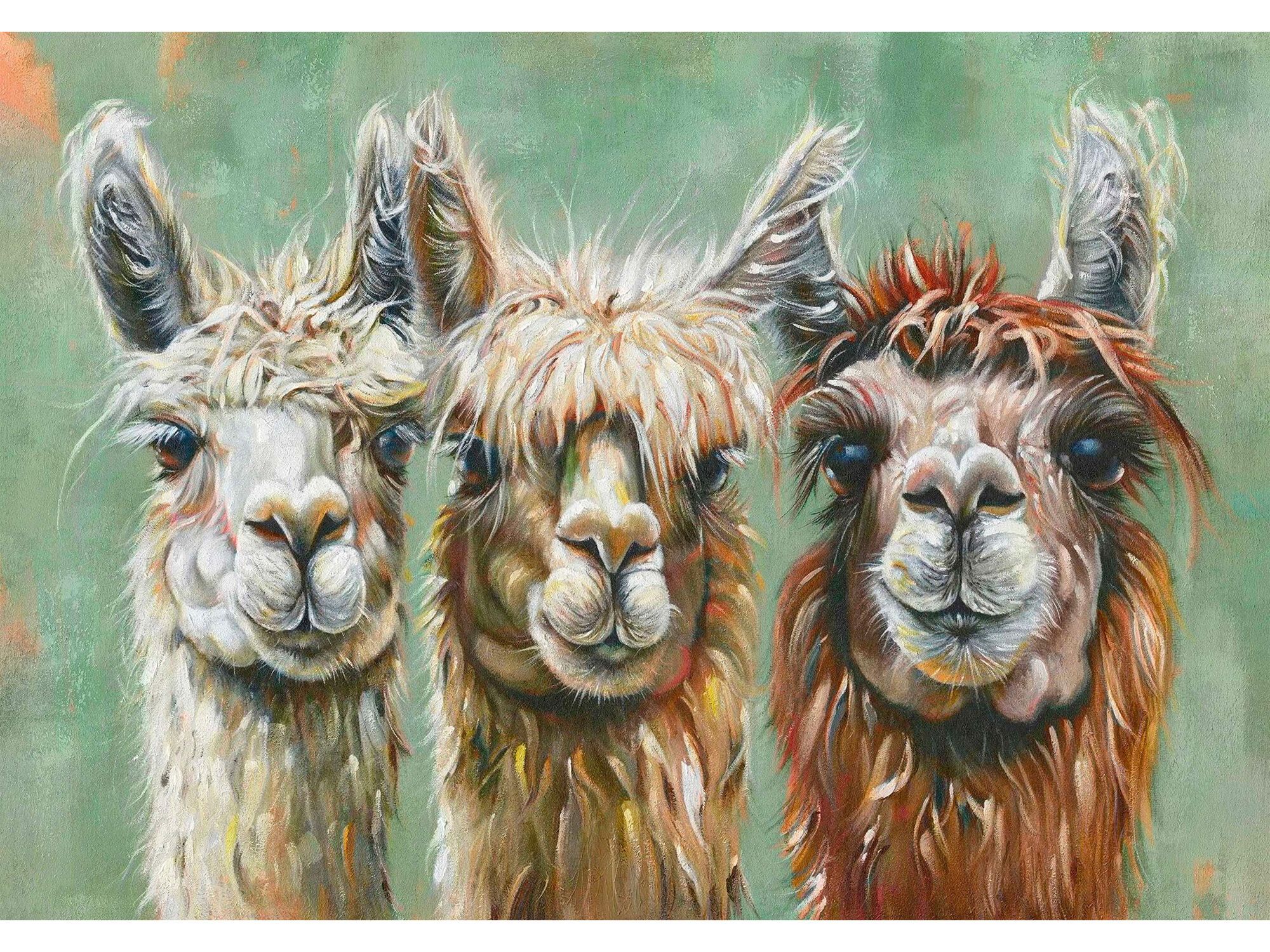 Leinwandbild »Lamas« in 70 x 100 cm (HxB)