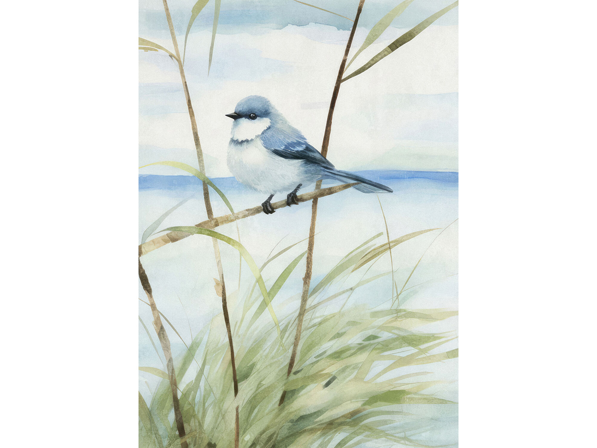 Leinwandbild »Vögel am Meer II« in 70 x 40 cm (HxB)